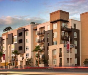 zaeem holding - palm garden بالم جاردن بدر